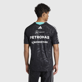 Mercedes-AMG Petronas Formula 1 Team